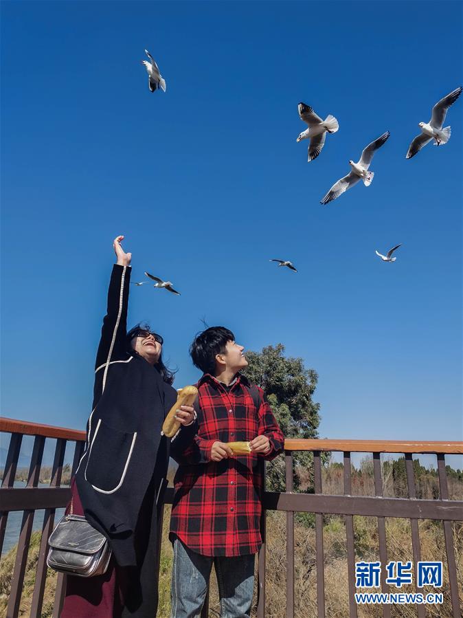 （一線抗疫群英譜&middot;圖文互動）（1）大學生志愿者譚藝西：在武漢，我和媽媽共戰(zhàn)&ldquo;疫&rdquo;