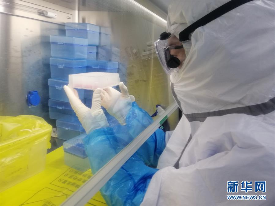 （一線抗疫群英譜&middot;圖文互動）（2）&ldquo;95后&rdquo;大學(xué)生郝鶯歌：退掉車票，她選擇直面病毒
