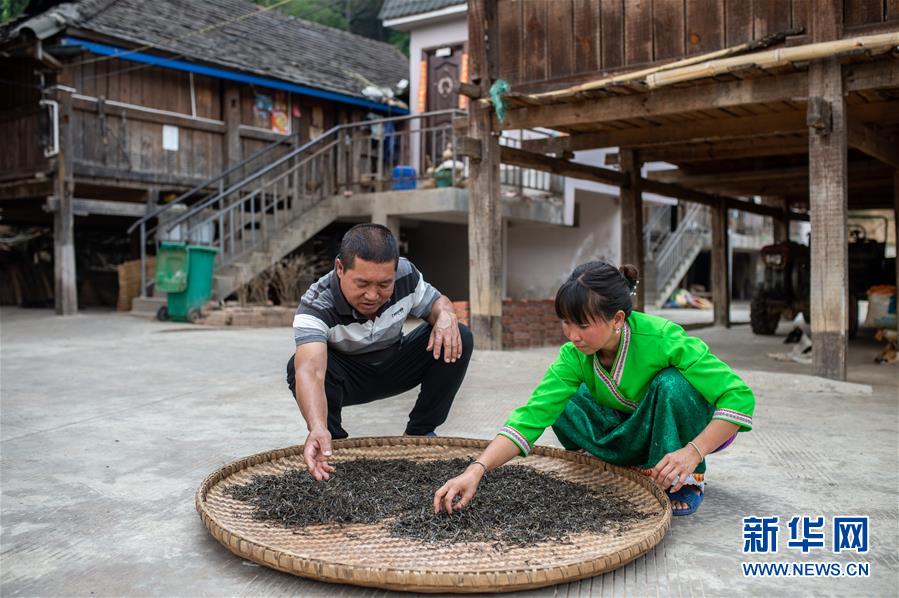 (決戰(zhàn)決勝脫貧攻堅(jiān)·圖文互動(dòng))(5)“孩子再也不用學(xué)打獵了”——拉祜族女獵手告別狩獵