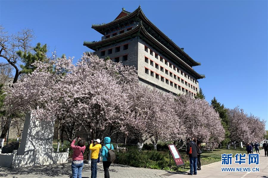 (新華全媒頭條·圖文互動)(5)永遠(yuǎn)的夢想 永恒的追求——寫在北京世園會開幕一周年之際