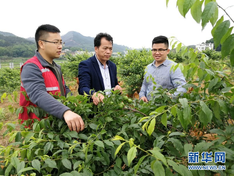 （新華全媒頭條&middot;圖文互動）（6）八桂大地上的青春之歌&mdash;&mdash;記奮戰(zhàn)在廣西脫貧攻堅一線的&ldquo;黃文秀式&rdquo;干部
