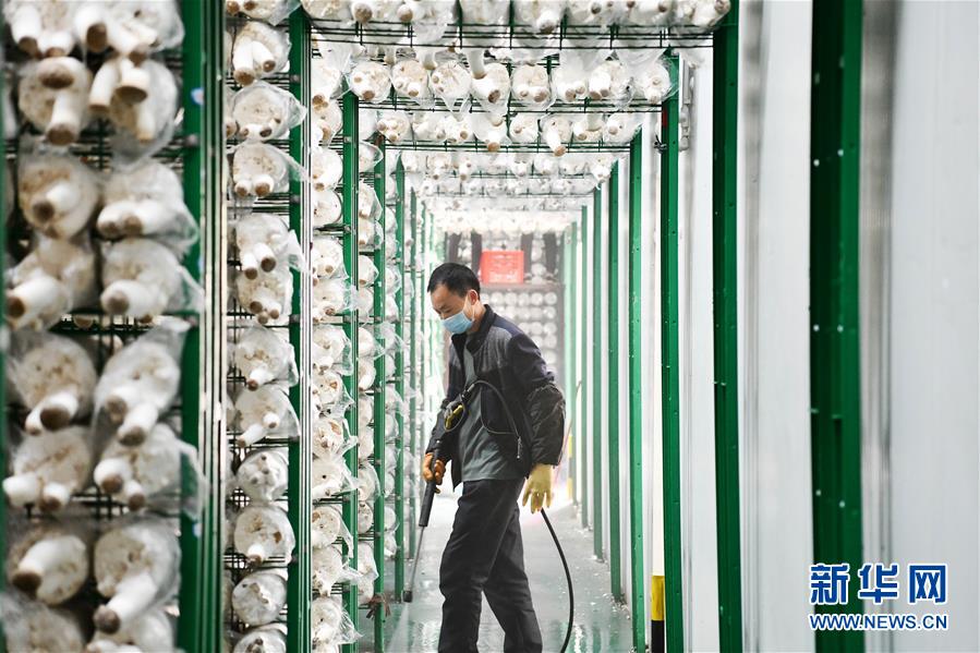 (決戰(zhàn)決勝脫貧攻堅(jiān)·圖文互動(dòng))(3)補(bǔ)短板 促就業(yè) 穩(wěn)增收——貴州向脫貧“硬骨頭”發(fā)起總攻