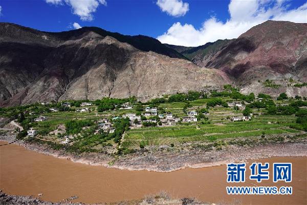(決戰(zhàn)決勝脫貧攻堅·圖文互動)(1)西藏昌都“甜蜜”產(chǎn)業(yè)助脫貧