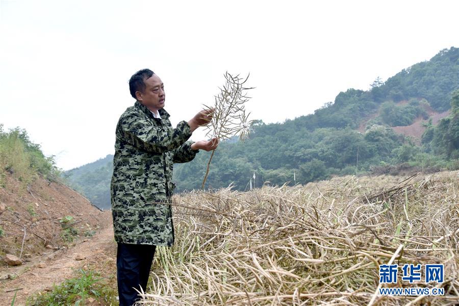 （代表委員履職&middot;圖文互動(dòng)）（1）&ldquo;我是農(nóng)民代表，始終關(guān)注農(nóng)村&rdquo;&mdash;&mdash;全國(guó)人大代表沈昌健的履職故事