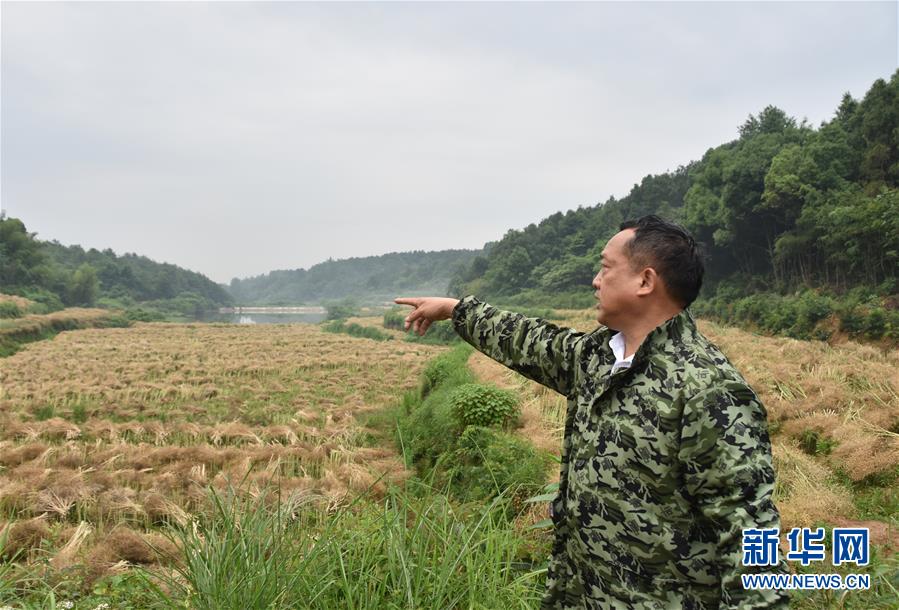 （代表委員履職&middot;圖文互動(dòng)）（2）&ldquo;我是農(nóng)民代表，始終關(guān)注農(nóng)村&rdquo;&mdash;&mdash;全國(guó)人大代表沈昌健的履職故事