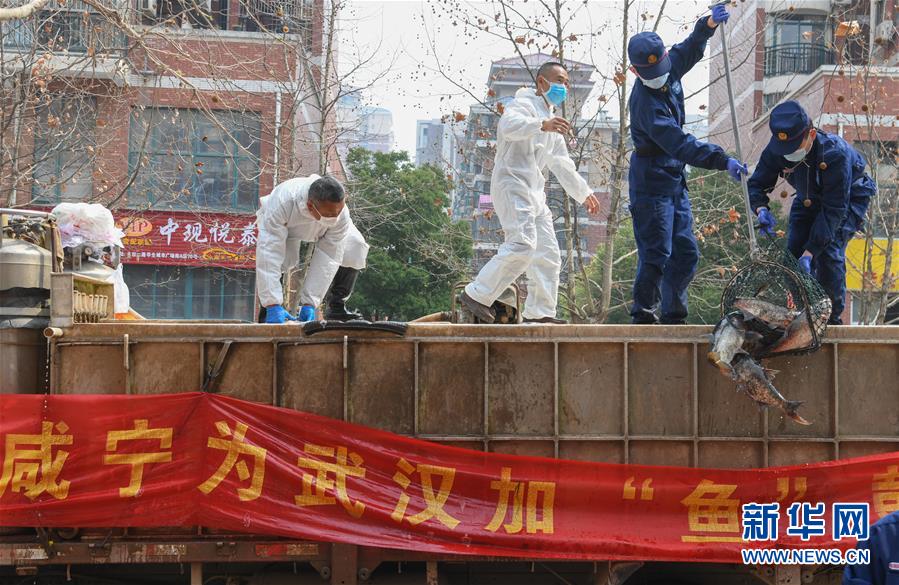 （新華全媒頭條&middot;圖文互動(dòng)）（12）從人民中汲取磅礴力量&mdash;&mdash;習(xí)近平總書記同出席2020年全國(guó)兩會(huì)人大代表、政協(xié)委員共商國(guó)是紀(jì)實(shí)
