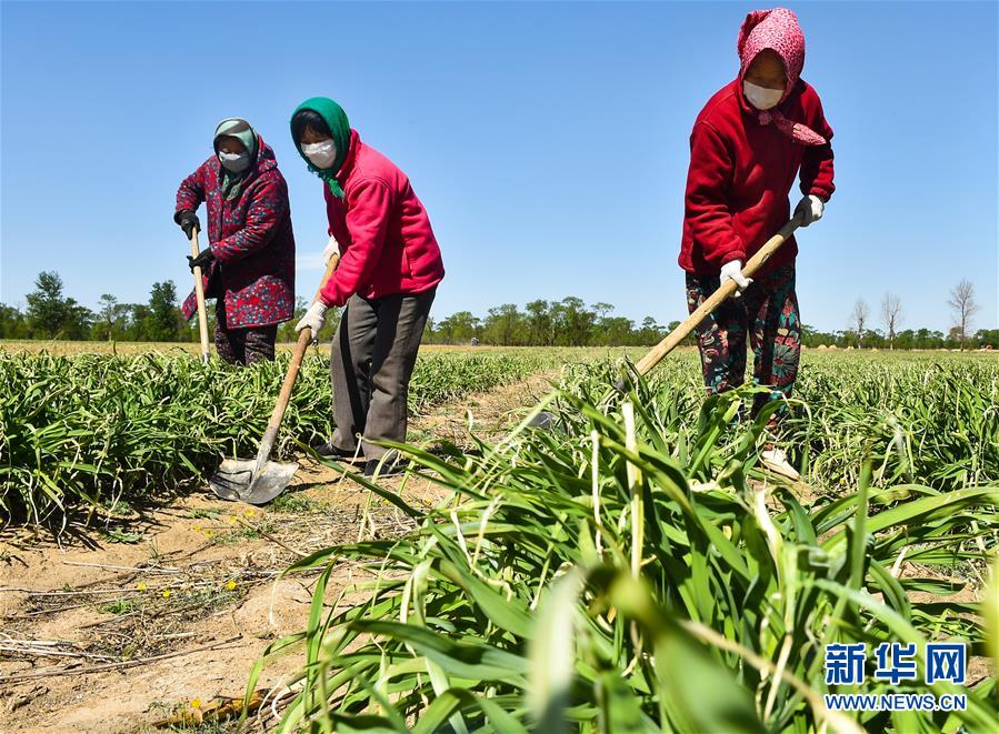 （新華全媒頭條&middot;圖文互動(dòng)）（17）從人民中汲取磅礴力量&mdash;&mdash;習(xí)近平總書記同出席2020年全國(guó)兩會(huì)人大代表、政協(xié)委員共商國(guó)是紀(jì)實(shí)