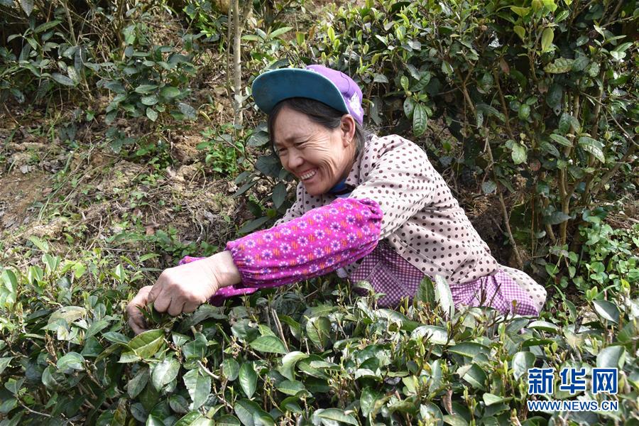 （決戰(zhàn)決勝脫貧攻堅(jiān)&middot;圖文互動(dòng)）（1）因地制宜的&ldquo;魅力&rdquo;&mdash;&mdash;貴州脫貧攻堅(jiān)一線采訪隨筆