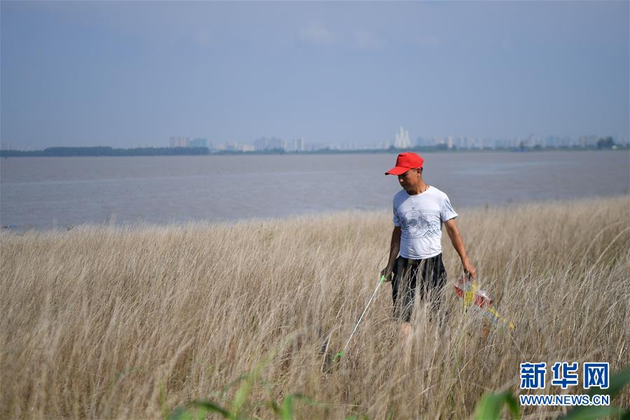 （新華全媒頭條&middot;圖文互動(dòng)）（7）大湖新歌&mdash;&mdash;我國(guó)兩大淡水湖全面生態(tài)修復(fù)進(jìn)行時(shí)