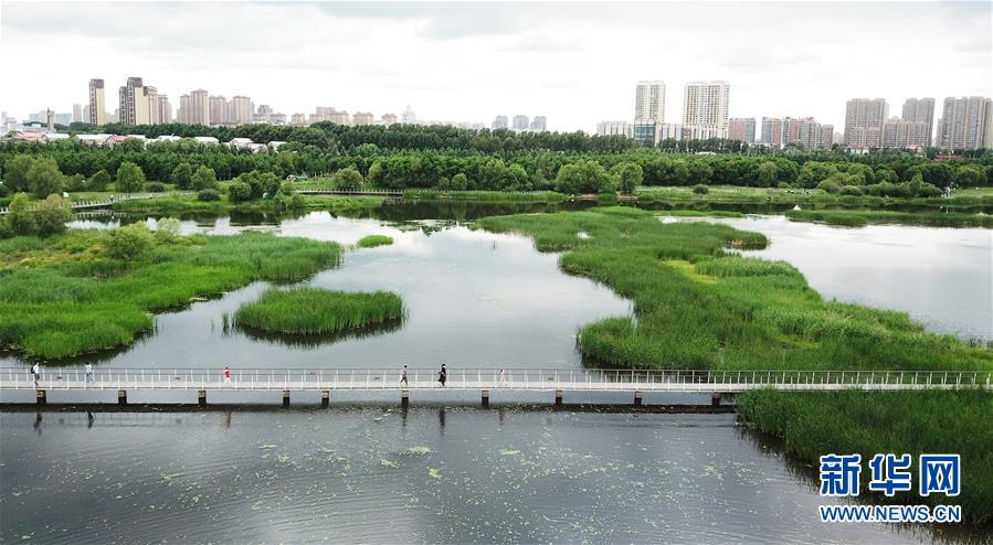 （走向我們的小康生活&middot;圖文互動(dòng)）（1）水清、地綠、空氣新&mdash;&mdash;最北省份黑龍江繪就生態(tài)治理新畫卷