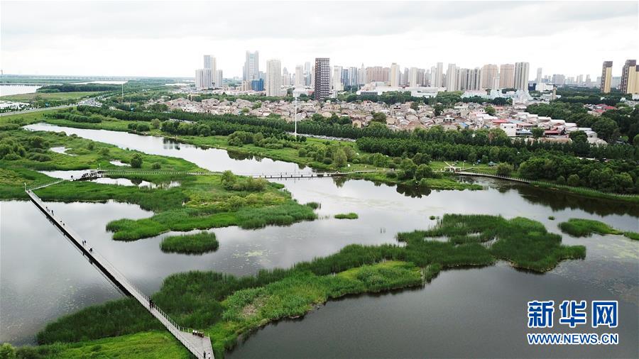 （走向我們的小康生活&middot;圖文互動(dòng)）（2）水清、地綠、空氣新&mdash;&mdash;最北省份黑龍江繪就生態(tài)治理新畫卷