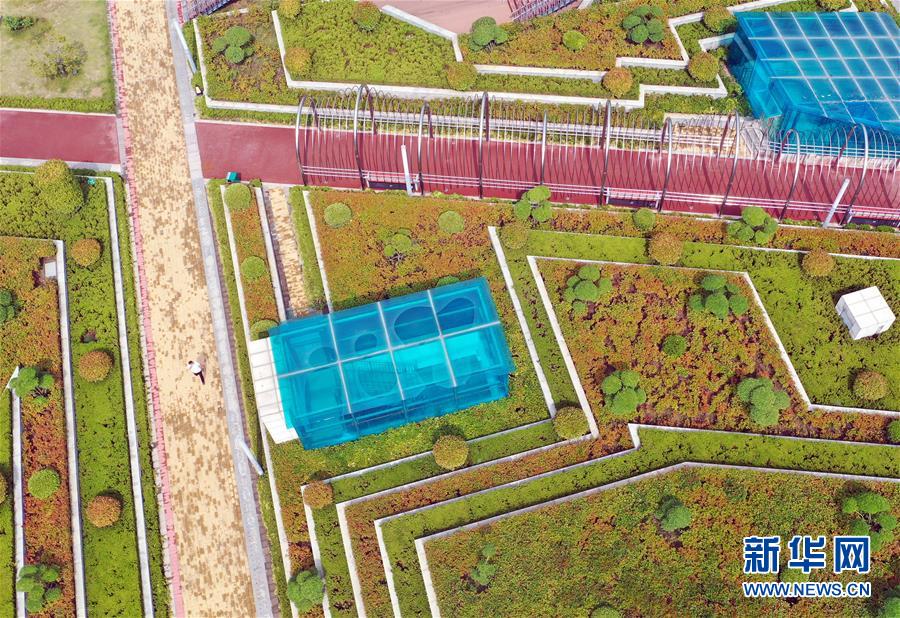 (走向我們的小康生活·圖文互動)(2)15分鐘“圈”出美好生活