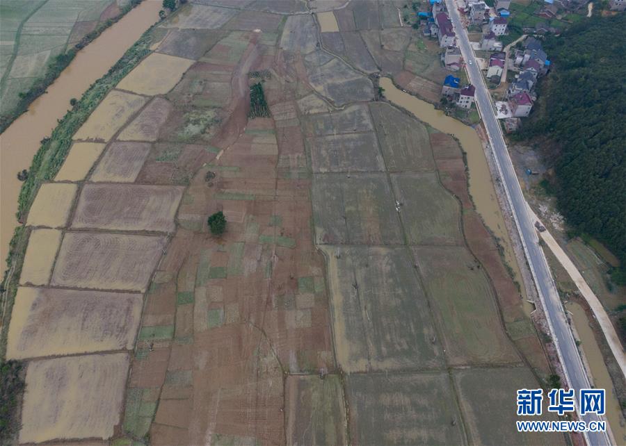 (防汛抗洪)(3)江西鄱陽遭遇暴雨