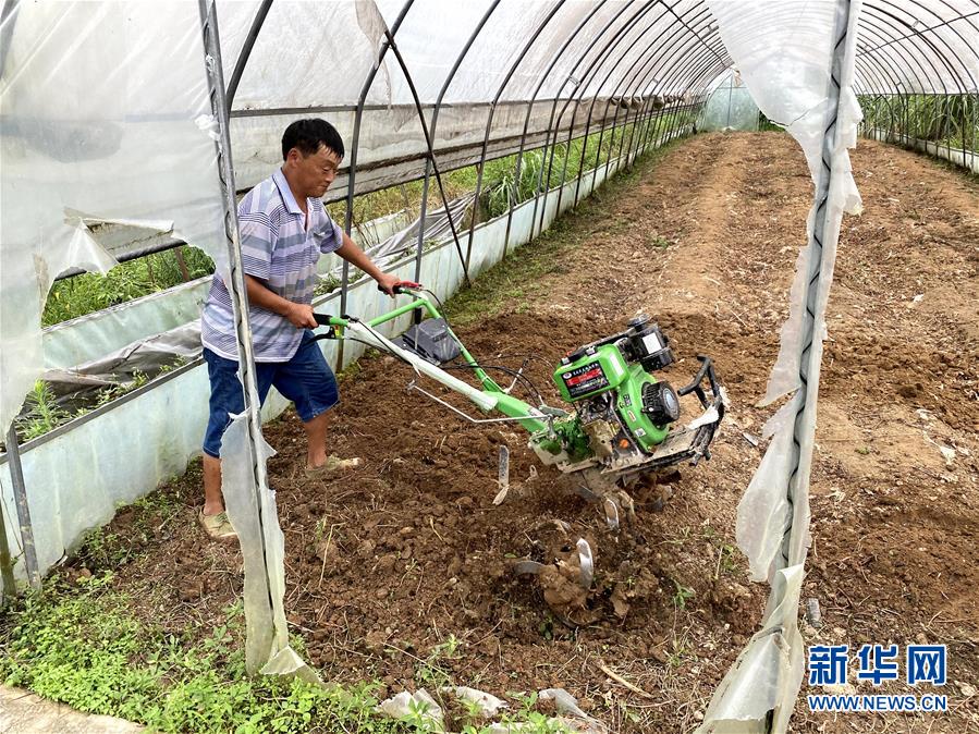 (防汛抗洪·圖文互動)(3)修路通水忙重建 補種搶收復(fù)生產(chǎn)——湘西山洪后恢復(fù)生產(chǎn)生活見聞