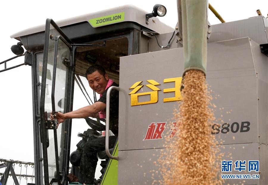 （在習(xí)近平新時(shí)代中國(guó)特色社會(huì)主義思想指引下&mdash;&mdash;新時(shí)代新作為新篇章&middot;習(xí)近平總書記關(guān)切事&middot;圖文互動(dòng)）（3）食為政首&mdash;&mdash;穩(wěn)住農(nóng)業(yè)基本盤增添發(fā)展底氣