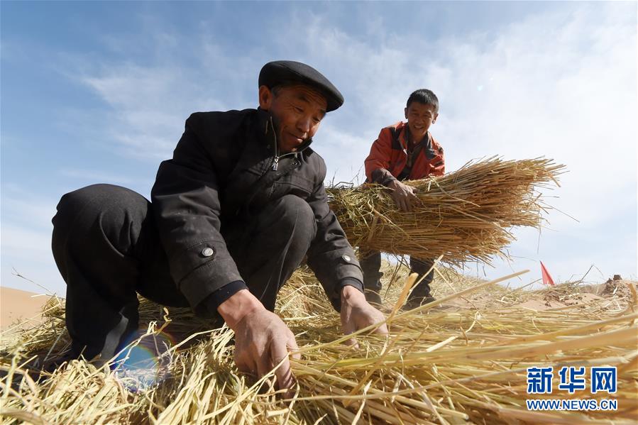 （在習(xí)近平新時(shí)代中國特色社會(huì)主義思想指引下&mdash;&mdash;新時(shí)代新作為新篇章&middot;習(xí)近平總書記關(guān)切事&middot;圖文互動(dòng)）（5）綠色映底蘊(yùn)，山水見初心&mdash;&mdash;生態(tài)優(yōu)先、綠色發(fā)展持續(xù)造福群眾美好生活