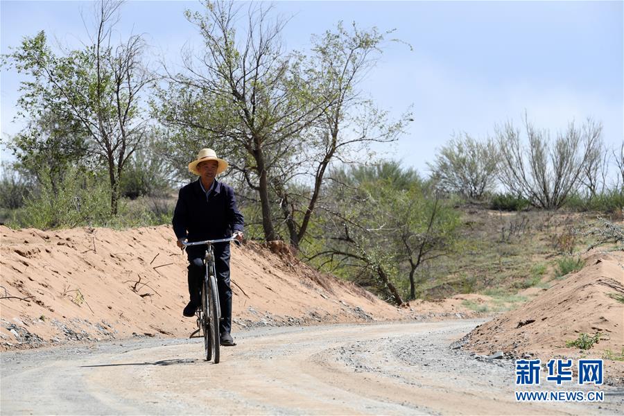 （新華全媒頭條&middot;走向我們的小康生活&middot;圖文互動）（7）&ldquo;苦甲&rdquo;不再，&ldquo;甘味&rdquo;綿長&mdash;&mdash;脫貧攻堅的甘肅味道
