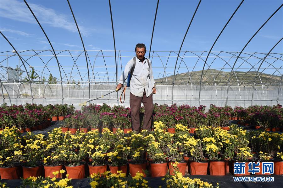 （新華全媒頭條&middot;走向我們的小康生活&middot;圖文互動）（10）&ldquo;苦甲&rdquo;不再，&ldquo;甘味&rdquo;綿長&mdash;&mdash;脫貧攻堅的甘肅味道