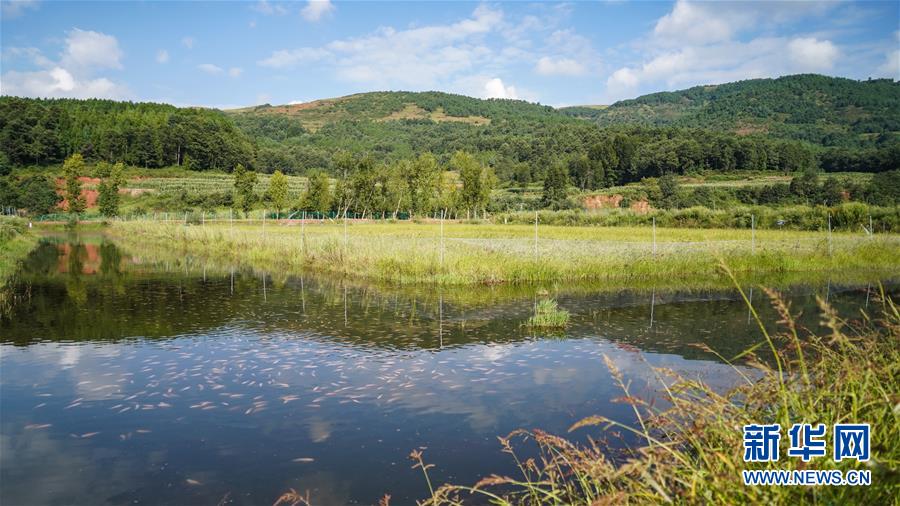 （新華全媒頭條&middot;決戰(zhàn)決勝脫貧攻堅(jiān)&middot;督戰(zhàn)未摘帽貧困縣&middot;圖文互動(dòng)）（4）苦蕎花開大涼山&mdash;&mdash;四川7個(gè)未摘帽縣脫貧攻堅(jiān)一線觀察