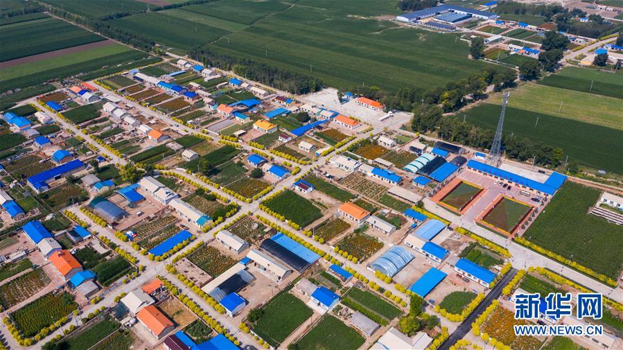 （新華全媒頭條&middot;走向我們的小康生活&middot;圖文互動(dòng)）（1）黑土地上是我家&mdash;&mdash;在吉林，一瞥中國(guó)東北鄉(xiāng)村美麗未來