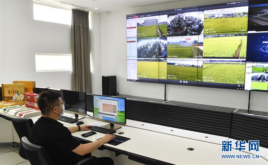 （新華全媒頭條&middot;走向我們的小康生活&middot;圖文互動(dòng)）（4）黑土地上是我家&mdash;&mdash;在吉林，一瞥中國(guó)東北鄉(xiāng)村美麗未來