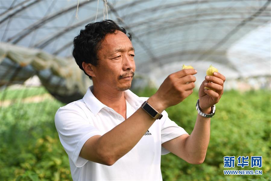 （新華全媒頭條&middot;走向我們的小康生活&middot;圖文互動(dòng)）（7）黑土地上是我家&mdash;&mdash;在吉林，一瞥中國(guó)東北鄉(xiāng)村美麗未來