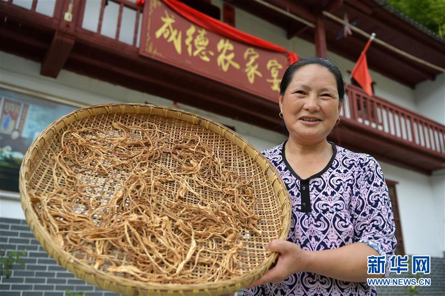 （新華全媒頭條&middot;走向我們的小康生活&middot;圖文互動(dòng)）（4）神山村&ldquo;神奇&rdquo;何在？&mdash;&mdash;井岡山深處覓答案