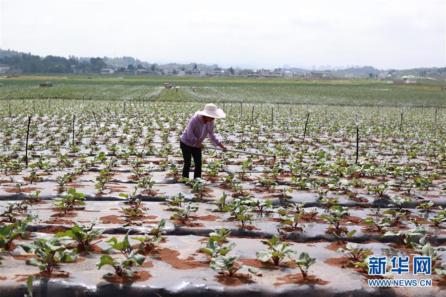 (新華全媒頭條·走向我們的小康生活·決戰(zhàn)決勝脫貧攻堅(jiān)·圖文互動)(3)千年之渴今朝解——貴州貧困群眾實(shí)現(xiàn)“吃水不愁”