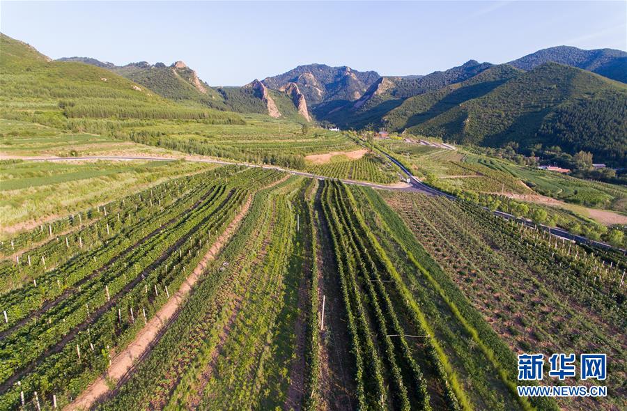 (集中連片特困地區(qū)貧困村調研行·圖文互動)(1)又整新鞍馬蹄輕——內(nèi)蒙古喀喇沁旗馬鞍山村脫貧調查