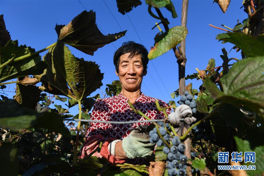 (集中連片特困地區(qū)貧困村調研行·圖文互動)(4)又整新鞍馬蹄輕——內(nèi)蒙古喀喇沁旗馬鞍山村脫貧調查