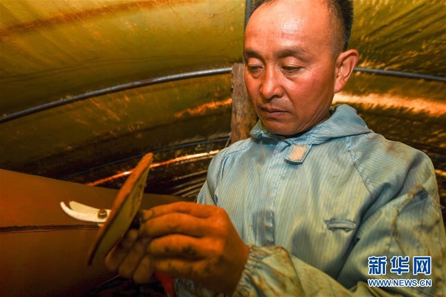 (決戰(zhàn)決勝脫貧攻堅(jiān)·圖文互動(dòng))(3)從“因殘致貧”到“帶頭脫貧”——吉林靖宇有這樣一位“脫貧英雄”