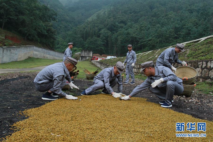(在習(xí)近平強(qiáng)軍思想指引下·我們?cè)趹?zhàn)位報(bào)告·圖文互動(dòng))(3)牢記統(tǒng)帥囑托 做刀尖上的舞者——記聯(lián)勤保障部隊(duì)某報(bào)廢武器彈藥銷毀站參謀長(zhǎng)陳雪禮