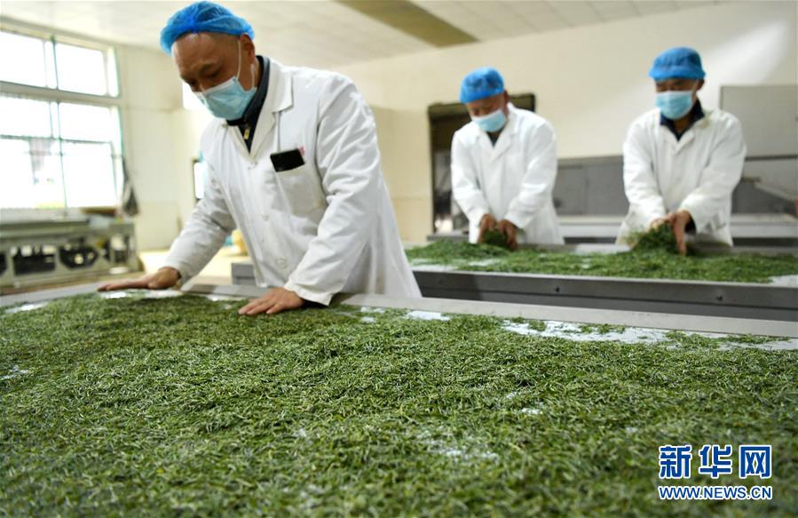 （新華全媒頭條&middot;圖文互動）（22）從人民中汲取磅礴力量&mdash;&mdash;習(xí)近平總書記同出席2020年全國兩會人大代表、政協(xié)委員共商國是紀實