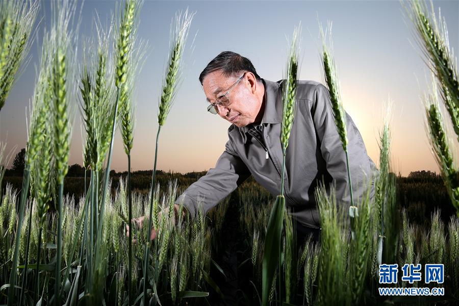 （&ldquo;中國面貌&rdquo;系列述評(píng)&middot;圖文互動(dòng)）（4）創(chuàng)新中國&mdash;&mdash;70年中國面貌變遷述評(píng)之二