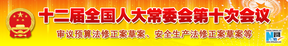十二屆全國人大常委會(huì)第十次會(huì)議