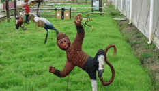 動(dòng)畫(huà)片主角&ldquo;化身&rdquo;稻草人亮相宜興農(nóng)田