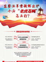 監(jiān)察法草案新鮮出爐 今后&ldquo;老虎蒼蠅&rdquo;怎么打？