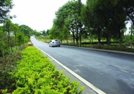 習(xí)近平：建&ldquo;四好農(nóng)村路&rdquo;