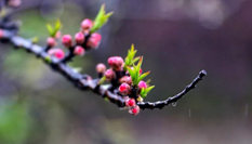 隨心而行，走走停停始終精彩。