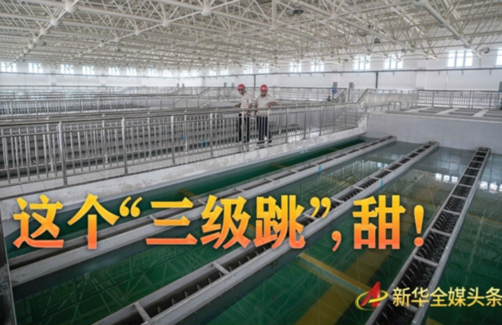 這個(gè)&ldquo;三級(jí)跳&rdquo;，甜！