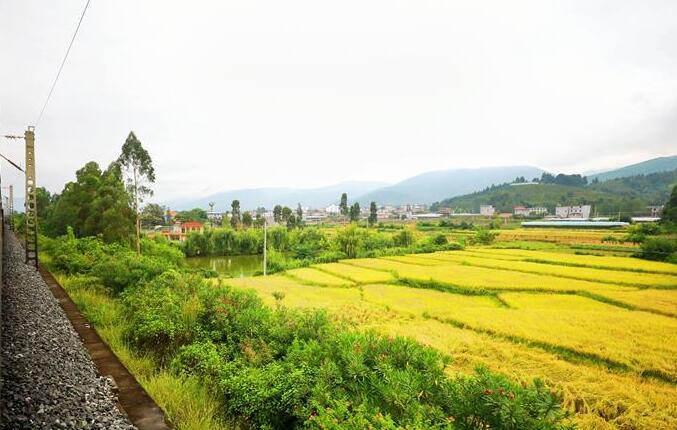 坐著高鐵看中國｜走成昆，感受闖過禁區(qū)的光影記錄