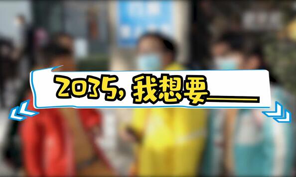 2035，我想要____
