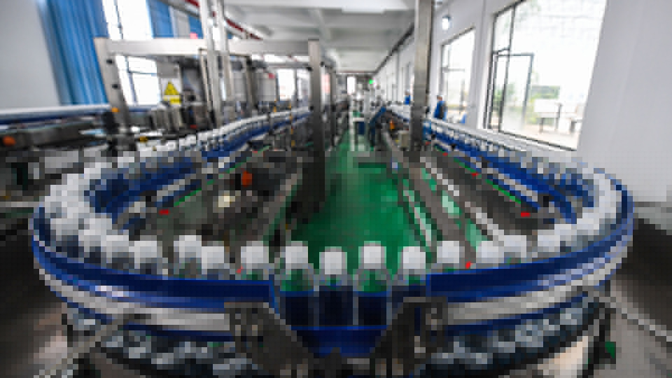 浙江淳安：依托綠水青山 推進百億&ldquo;水產業(yè)&rdquo;發(fā)展