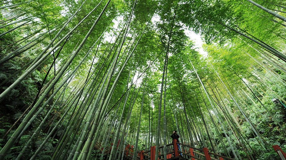 合作共治、責任共擔、效益共享&mdash;&mdash;赤水河流域跨省生態(tài)補償取得積極成效