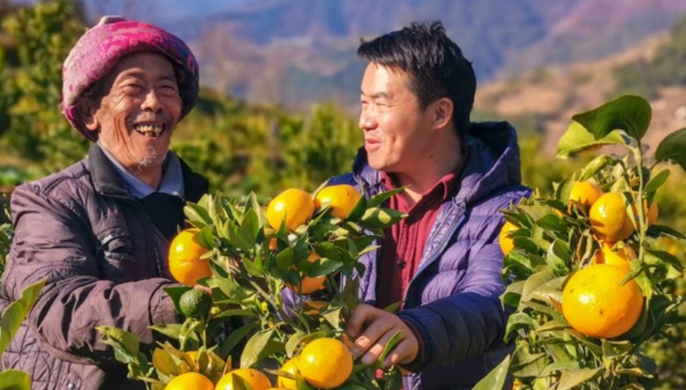 扶貧相冊&mdash;&mdash;老窩來了位&ldquo;柑橘博士&rdquo;
