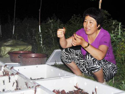 記吉林省東遼縣安石鎮(zhèn)朝陽村黨支部書記韓麗