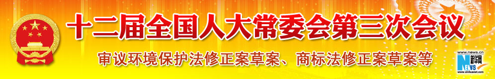 十二屆全國人大常委會第三次會議