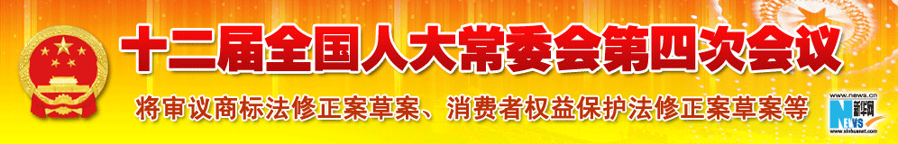 十二屆全國人大常委會第四次會議