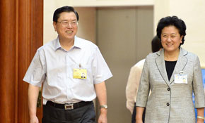 十二屆全國人大常委會第四次會議舉行第二次全體會議