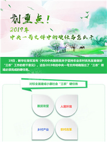 劃重點(diǎn)！2019年中央一號(hào)文件中的硬任務(wù)怎么干